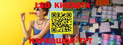 стафф Кингисепп