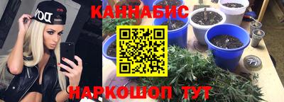 мяу мяу мука Кинель