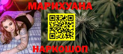 стафф Кингисепп