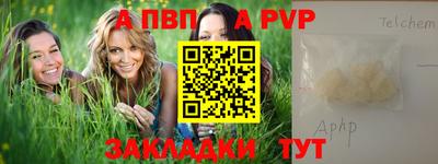 стафф Кингисепп