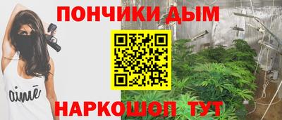 стафф Кингисепп