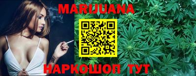 стафф Кингисепп