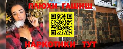 стафф Кингисепп