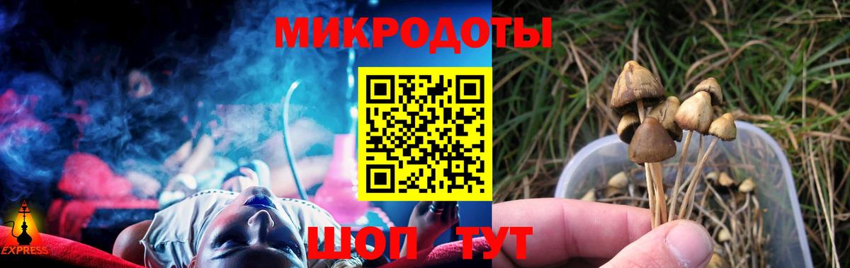 Галлюциногенные грибы Cubensis Барабинск